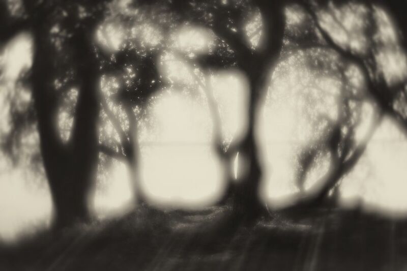 светотень Светотеневой рисунок фото превью