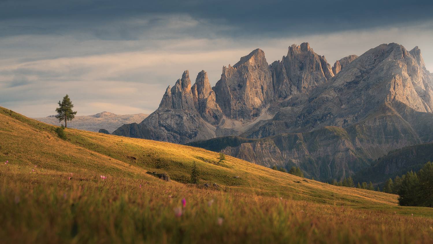 , de Franzoni Thomas