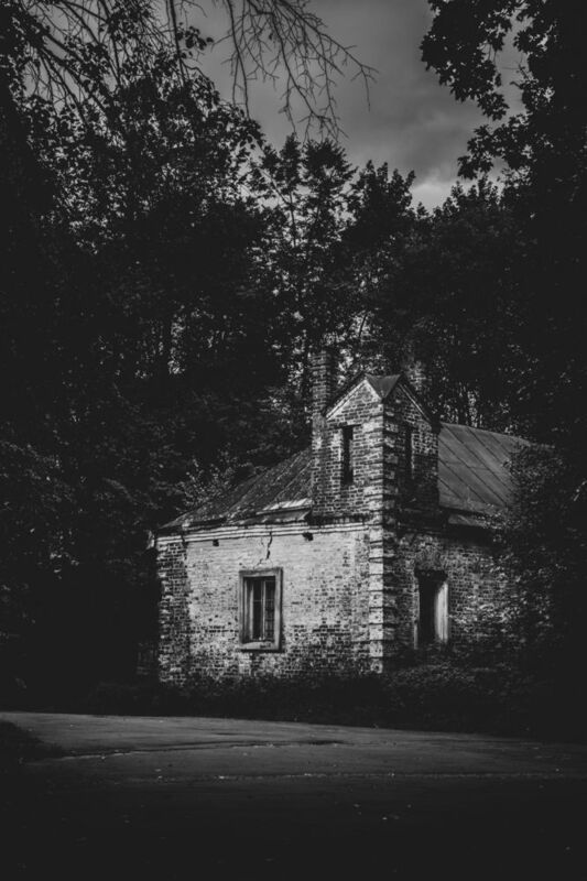 P401 фото превью