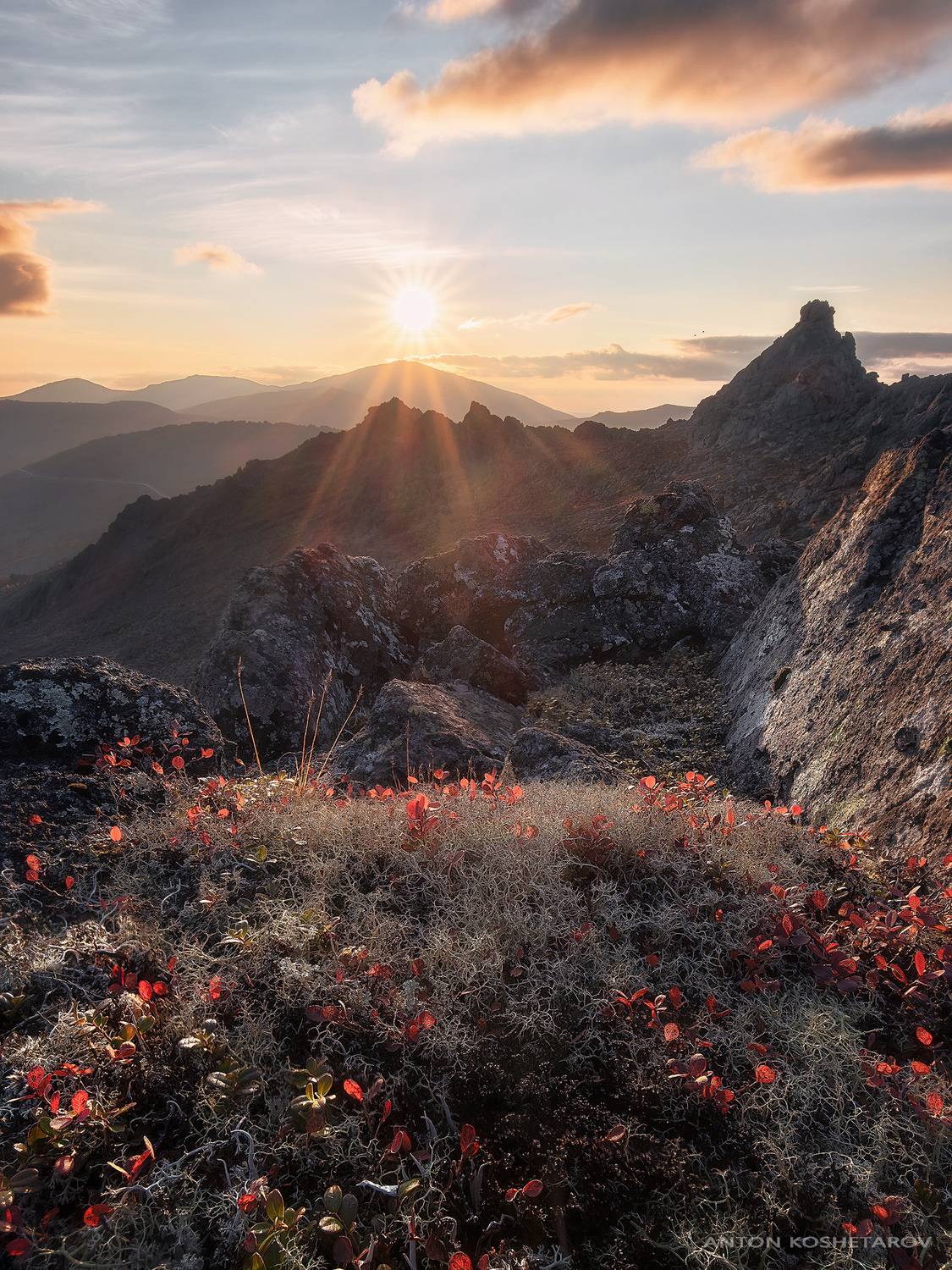 , Антон Кошетаров