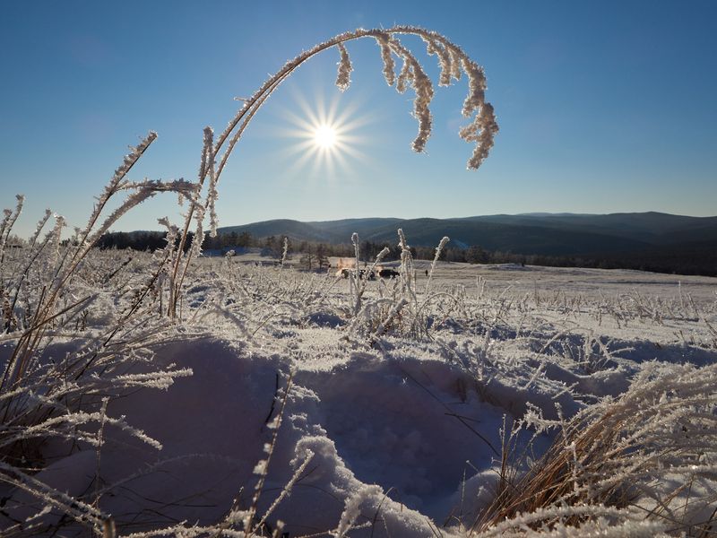 Байкал, иней, солнце Иней фото превью