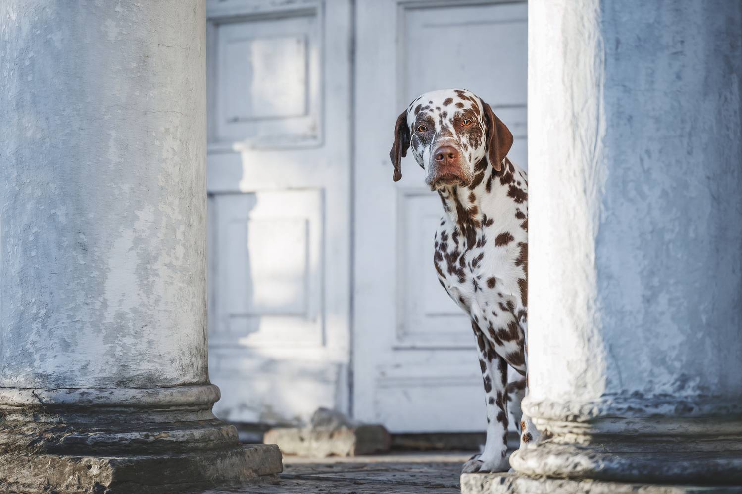 , Яна Нарбутович