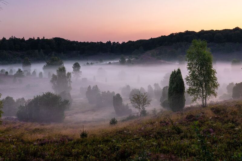 Lüneburg Heath, Germany фото превью