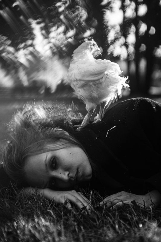 фото превью