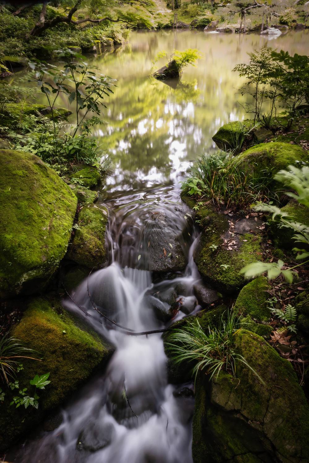 #Water #Water resources #Plant #Fluvial landforms of streams #Natural landscape #Natural environment #Branch #Spring #Vegetation #Sunlight, Shpek Andrey