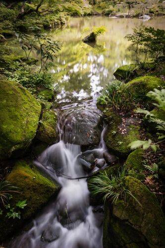 Stream