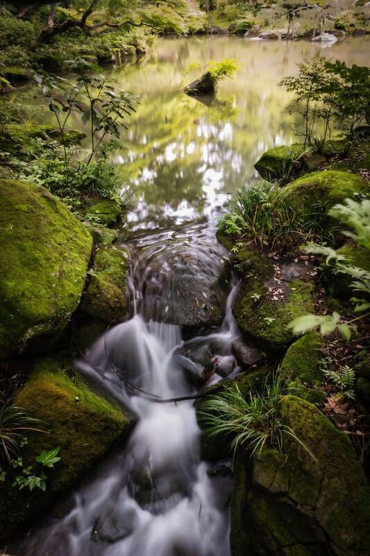 #Water #Water resources #Plant #Fluvial landforms of streams #Natural landscape #Natural environment #Branch #Spring #Vegetation #Sunlight Stream фото превью