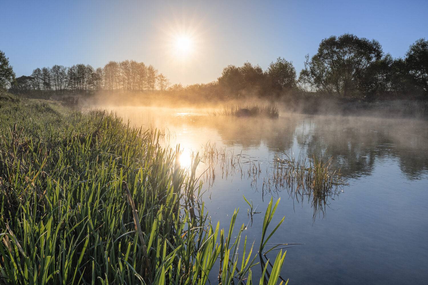 , Александр Бредихин