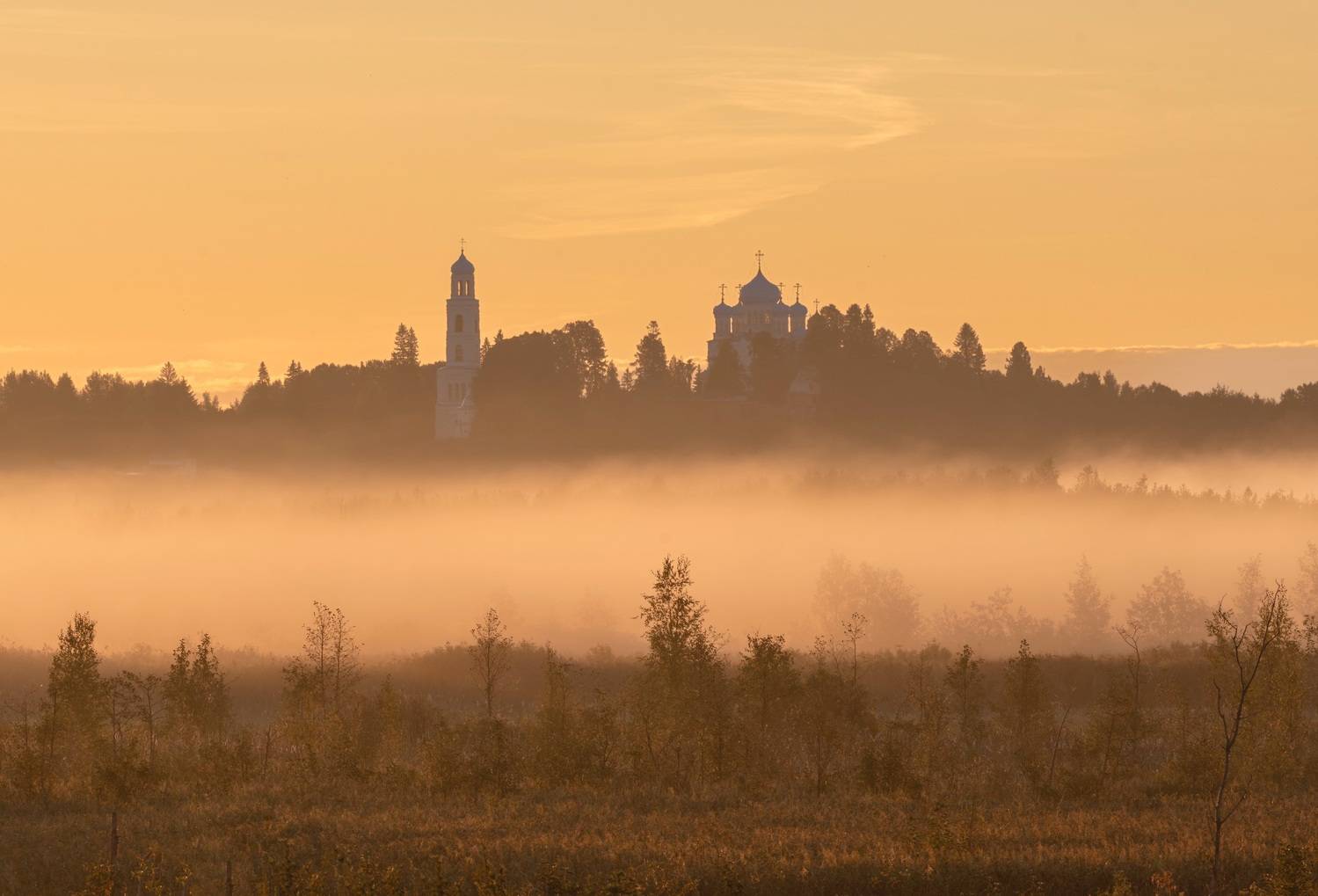 , Владимир Заикин