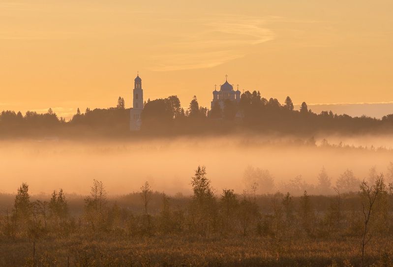 Туманное утро фото превью