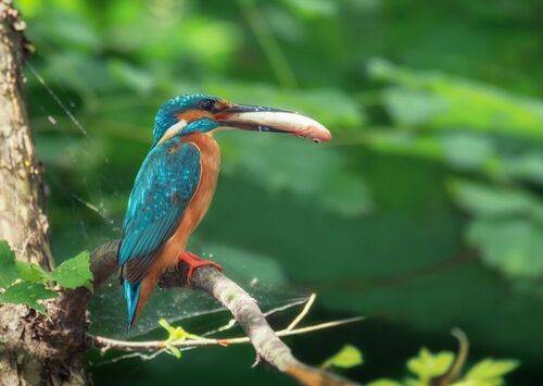 Рыбаки (3 фото)