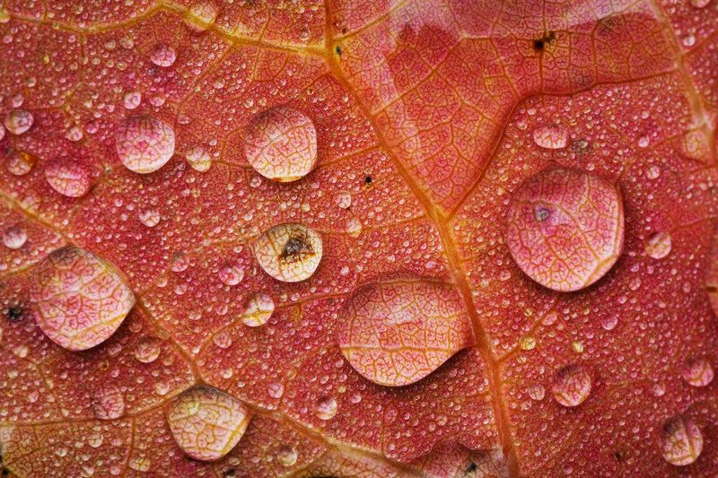 2022 фото превью