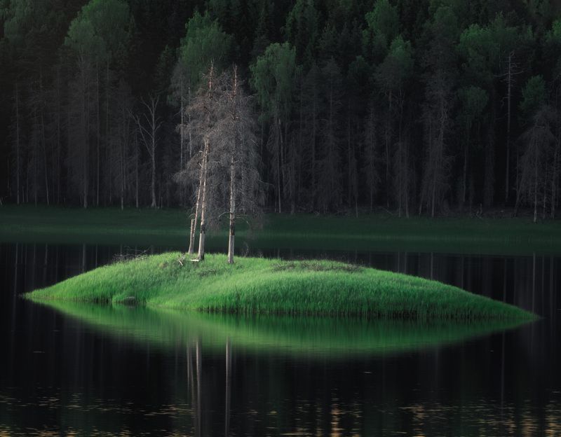 Островок на Большом Сухом озере. фото превью