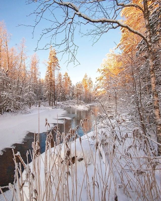 Морозный январский день фото превью
