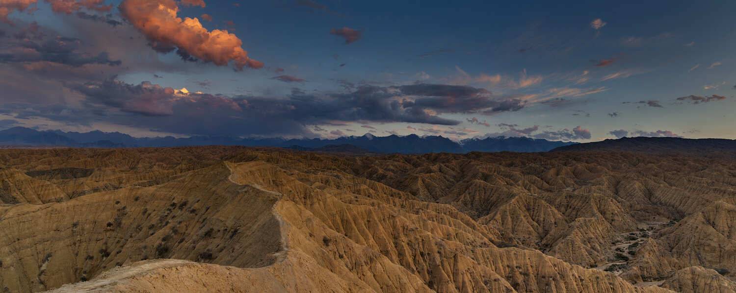 , Игорь Щербаков