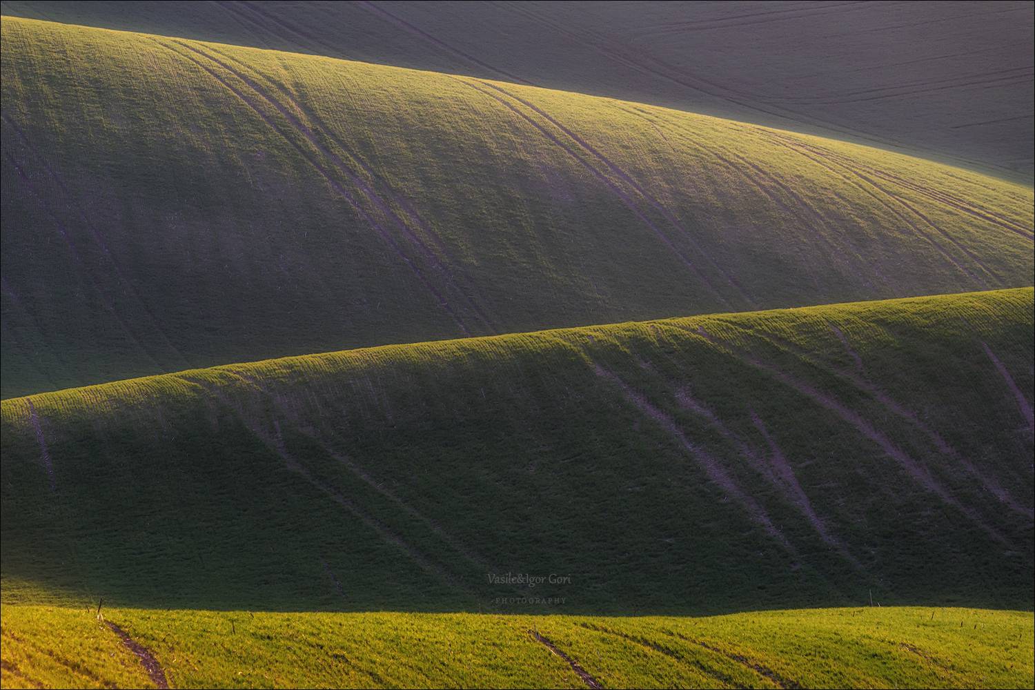 южная моравия,hils,линии,south moravian,волны,lines,свет,czech,весна,чехия,landscapes,абстракция,карлин, Гори Василий