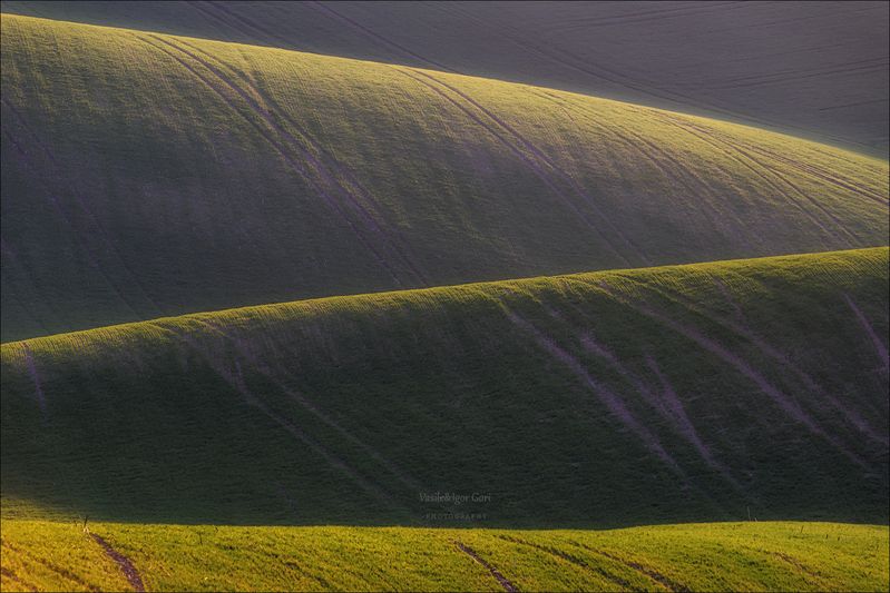 южная моравия,hils,линии,south moravian,волны,lines,свет,czech,весна,чехия,landscapes,абстракция,карлин Něžné vlny фото превью