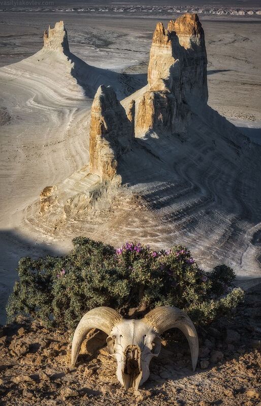 казахстан, фототур, яковлевфототур, мангистау, мангышлак, айракты, босжира, устюрт, карынжарык, тузбаир, торыш, туйесу, сенек Мангистау фото превью