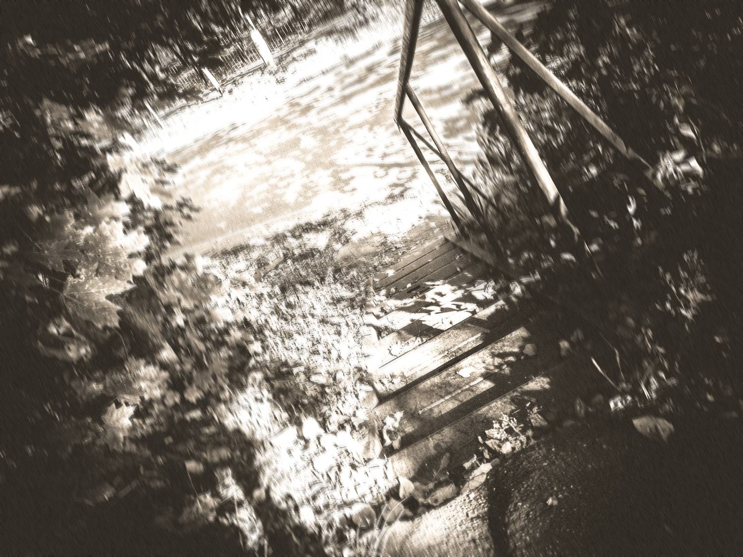 , Подрезов Алексей