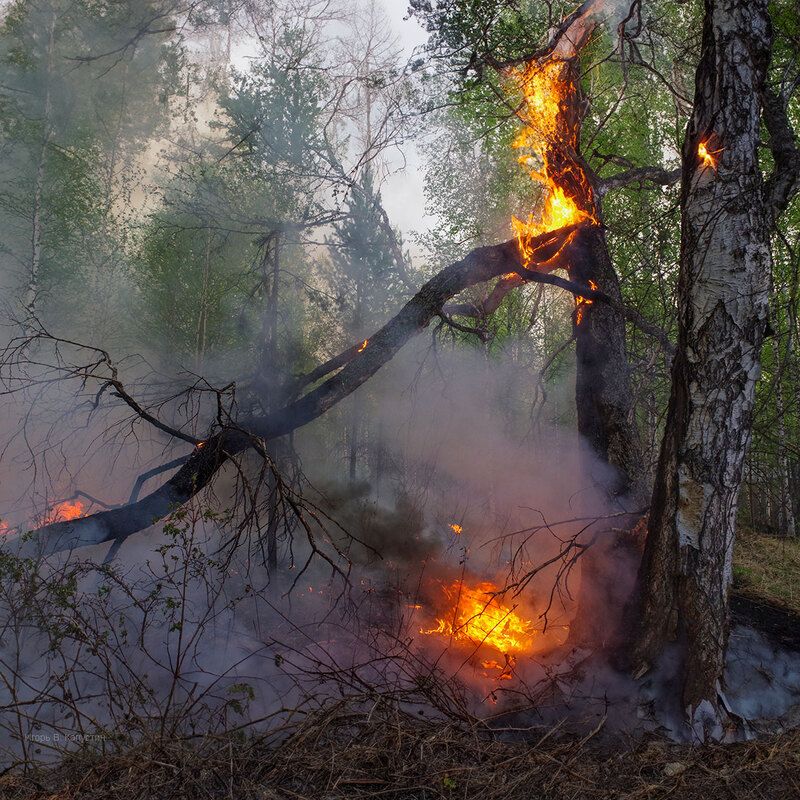 *** фото превью