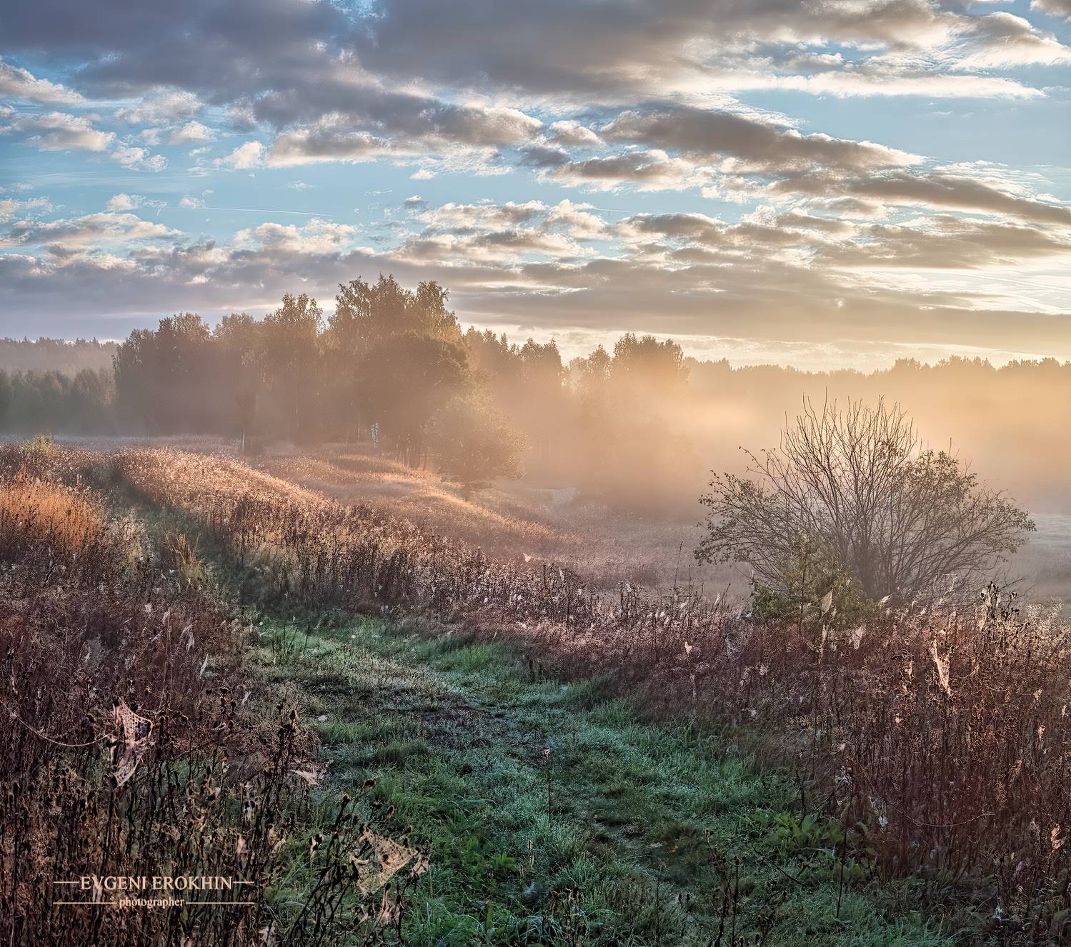 , Евгений Ерохин