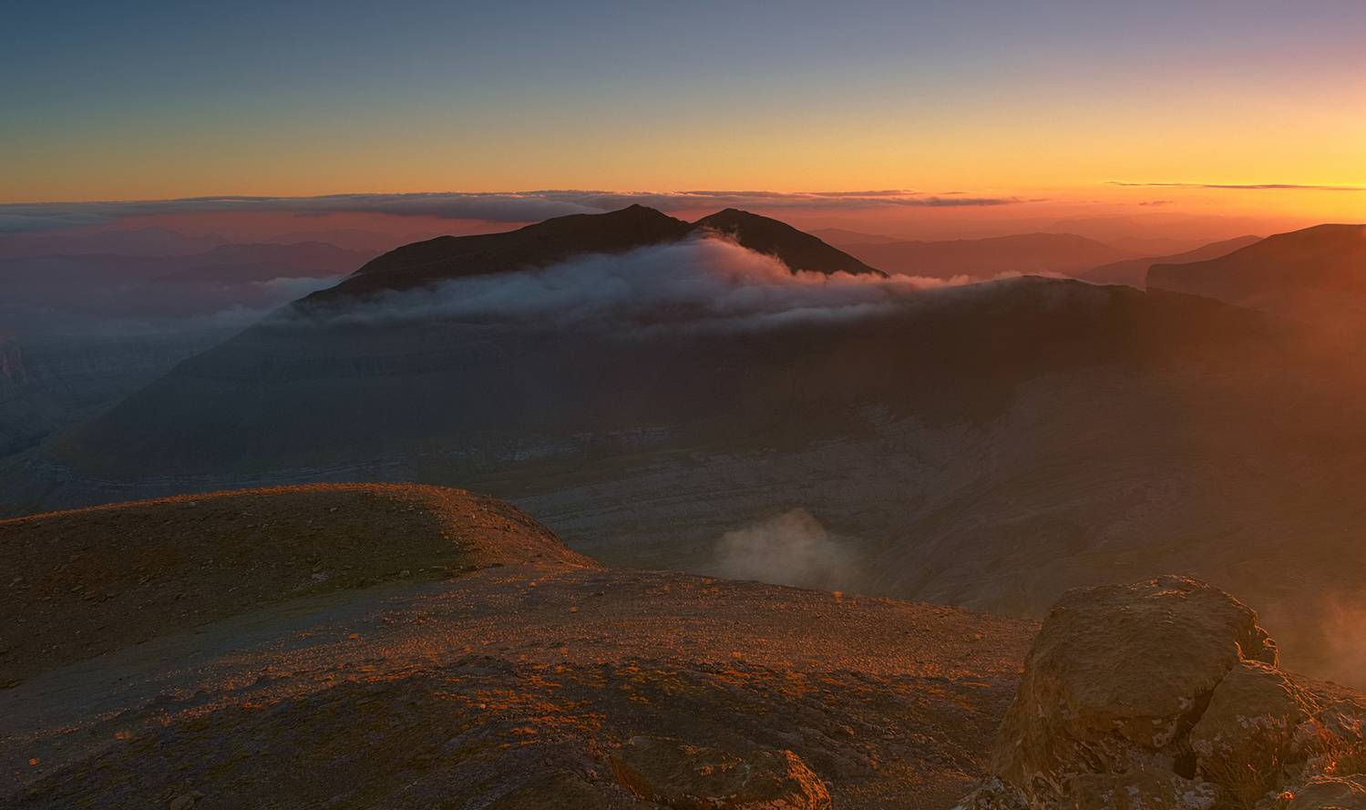 , Wojciech Tarnowski