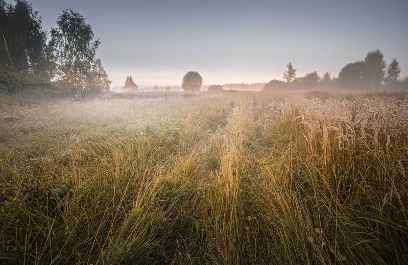 сентябрь, торбеево, смоленская, обл. Осенние туманы... фото превью