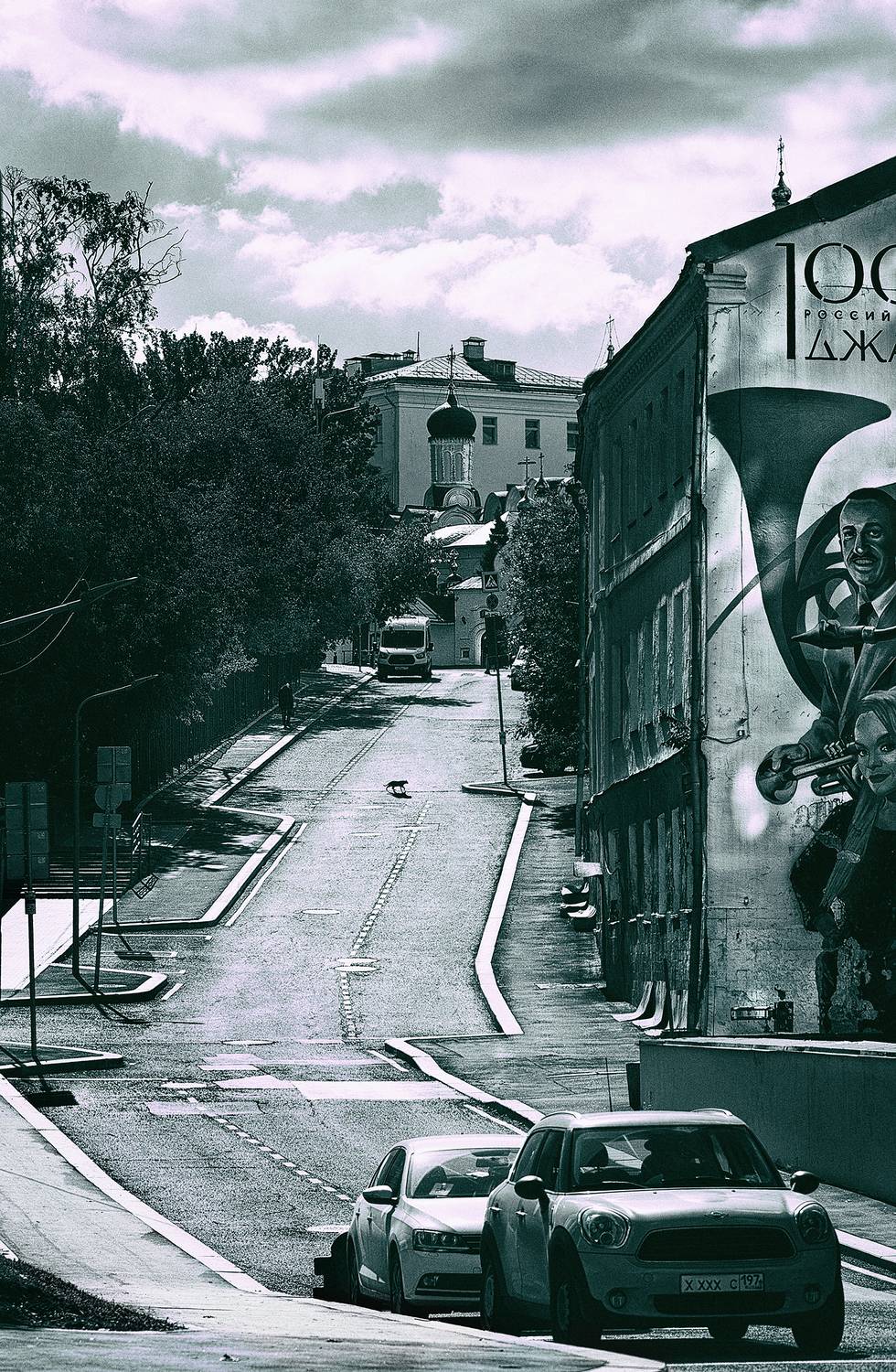 монохром, городские картинки, переулки москвы, кошка, Vera Trandina