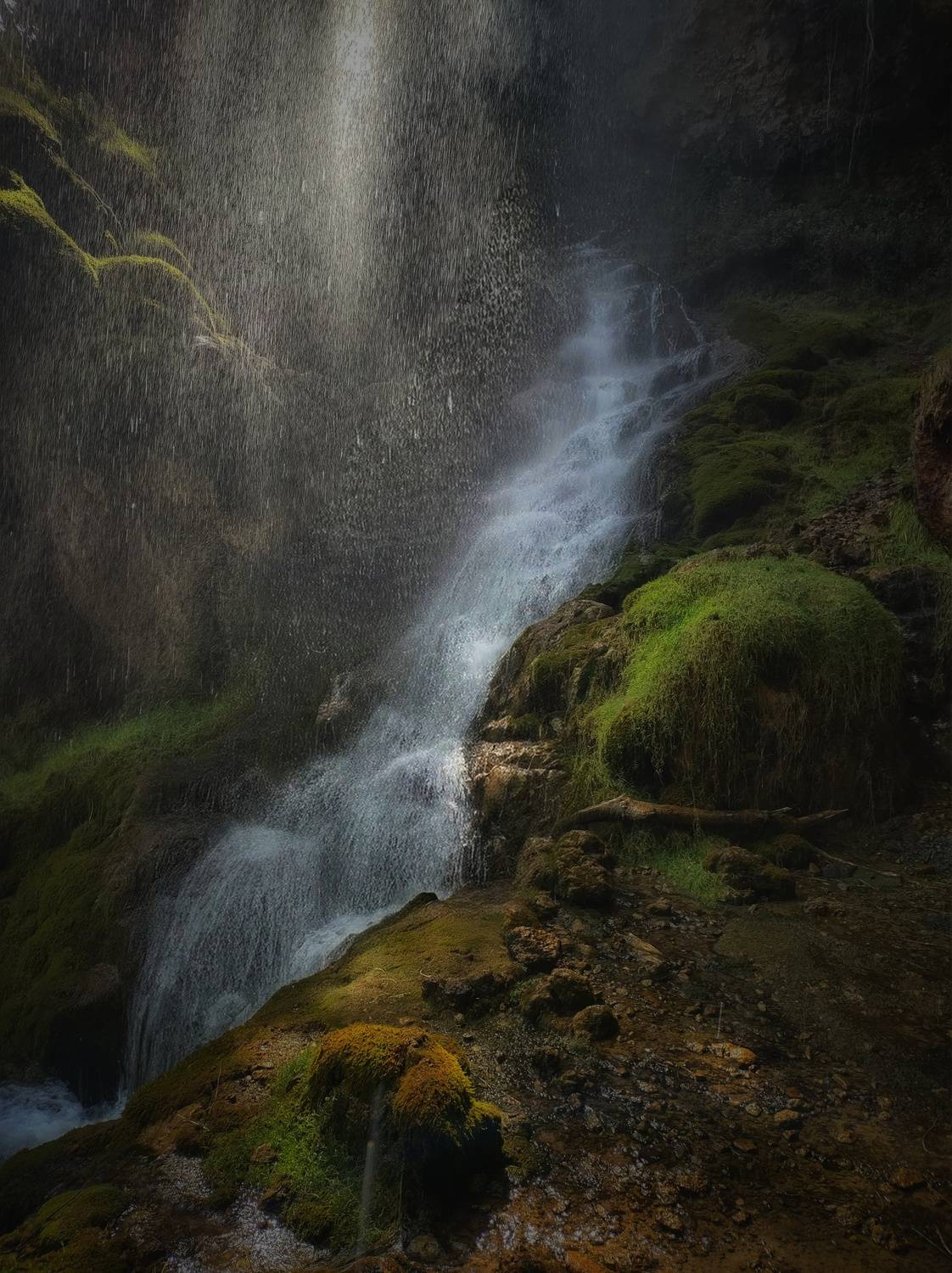 , Юлияна Стоянова