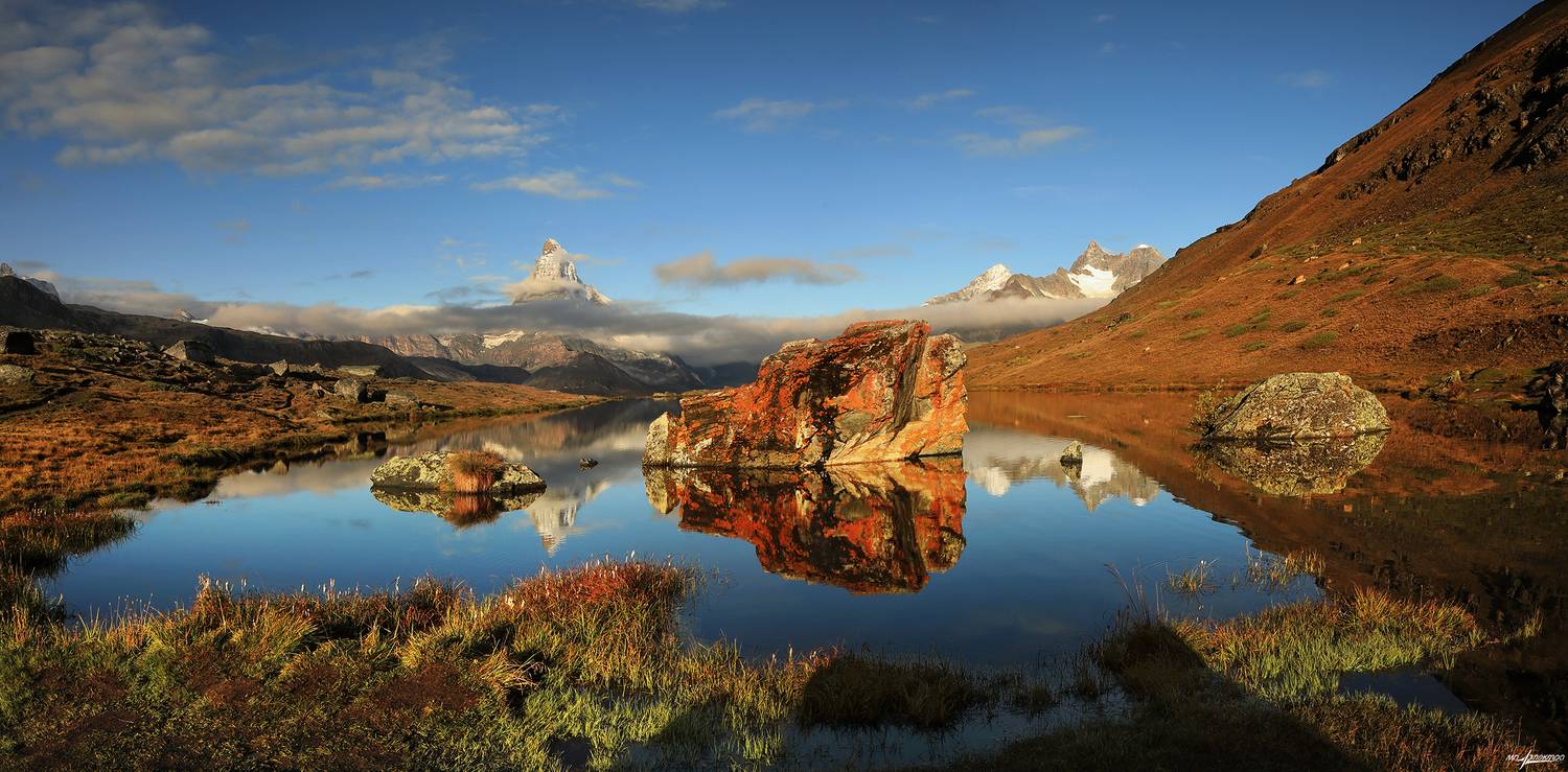 swiss, Матвеев Николай