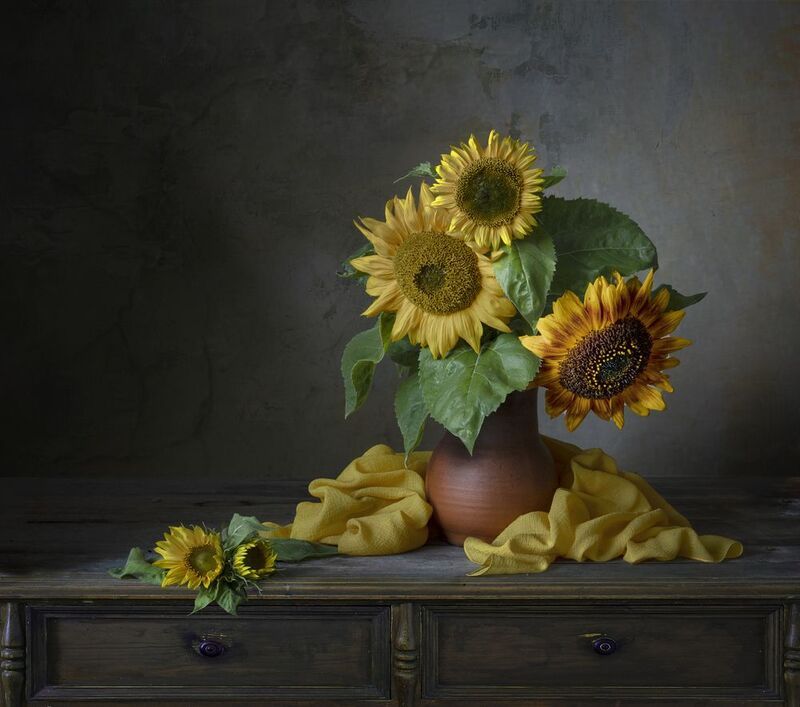 Подсолнухи фото превью