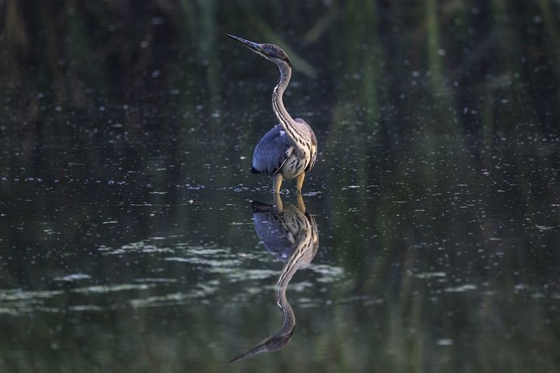 Закрутило штопором фото превью