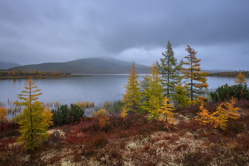 Пасмурно...  фото превью
