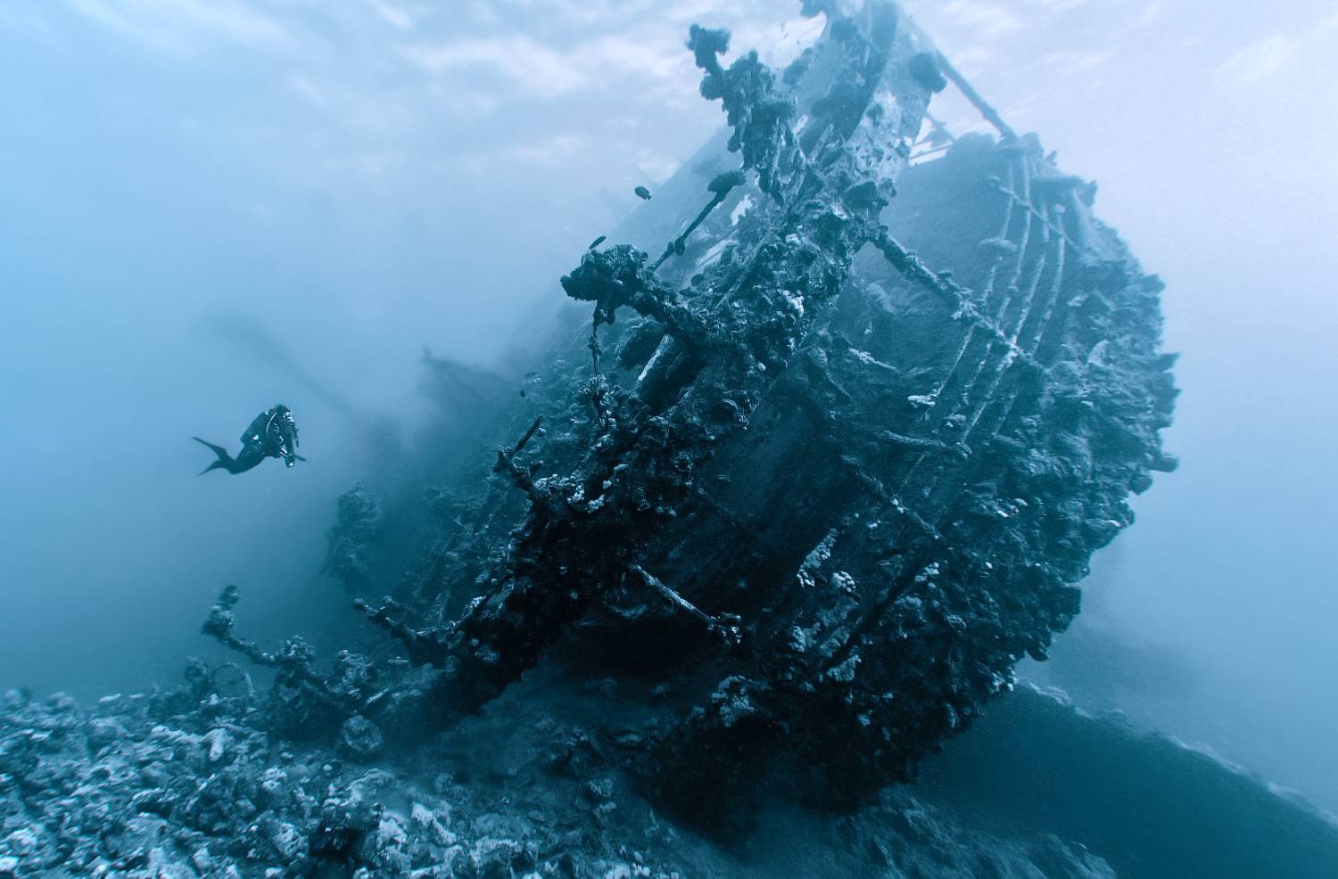 , Лисицын Сергей