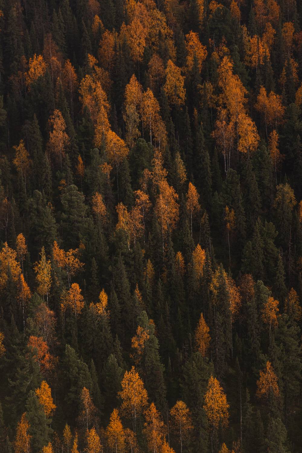 , Konstantin Morozov