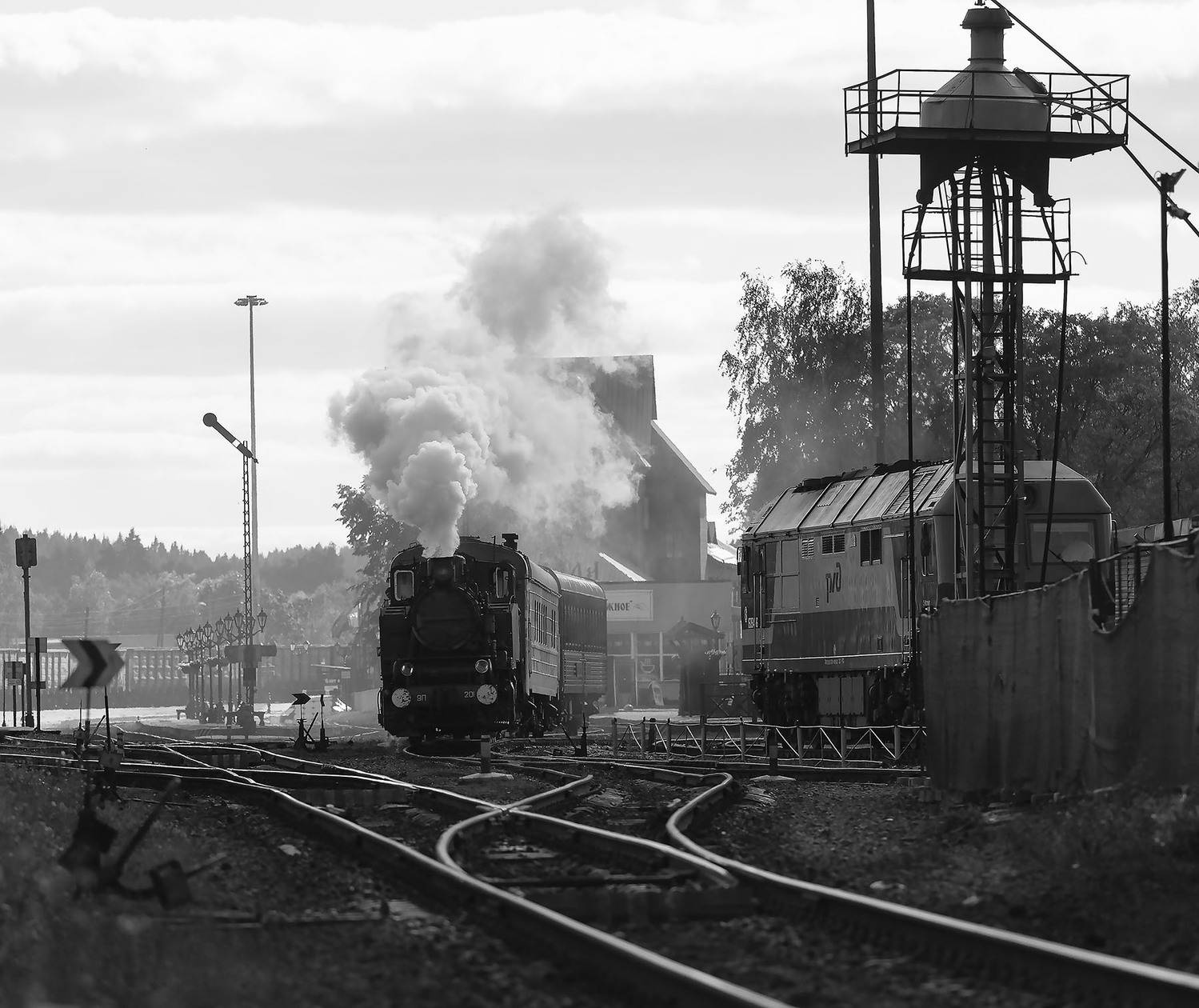 ретропоезд, карелия, путешествие,voyage, retrotrain,city, Стукалова Юлия