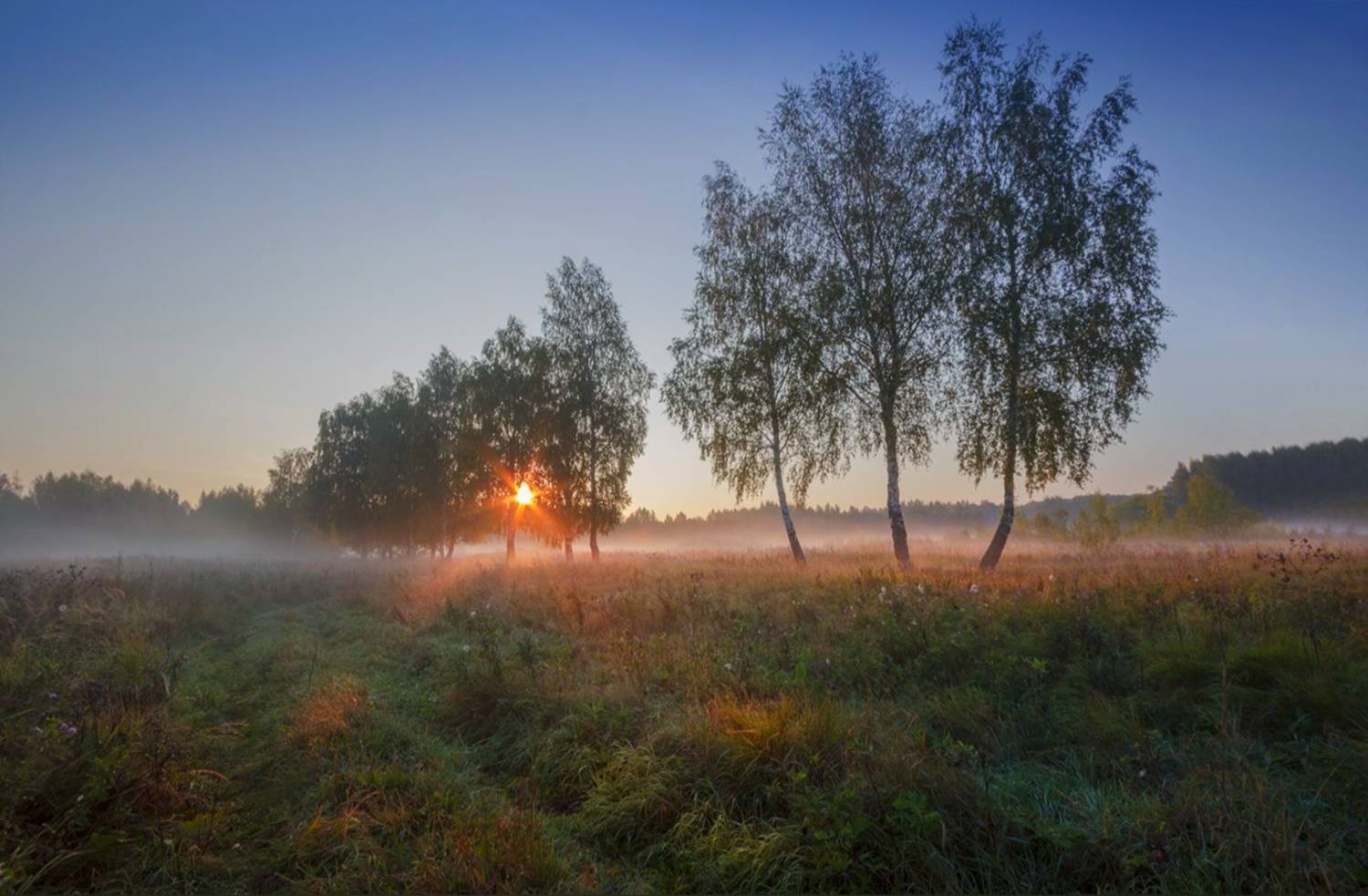 кострома, пейзаж, рассвет, природа, костромская область, Елена Рубинская