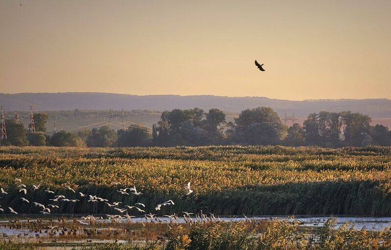 Охотник фото превью