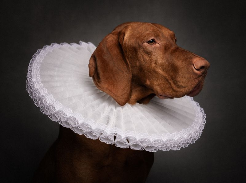 Anry фото превью