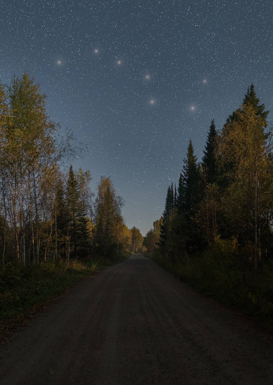 ночь, тайга, сибирь, лунная ночь, большая медведица, звезды, Кудашкина Ксения