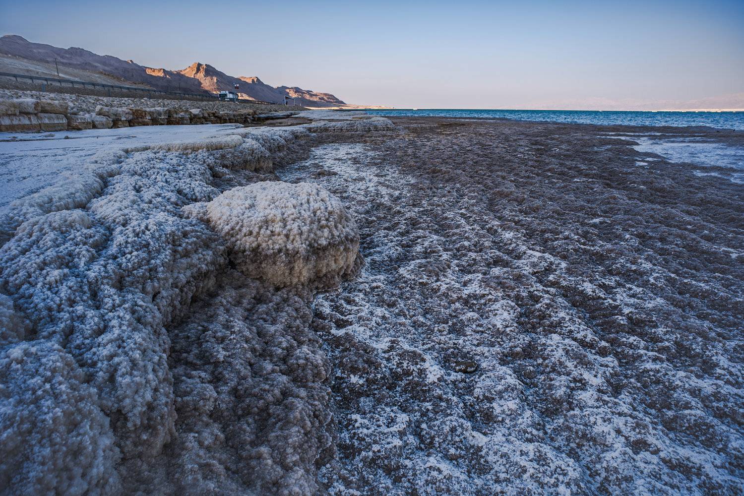 , David Solodar