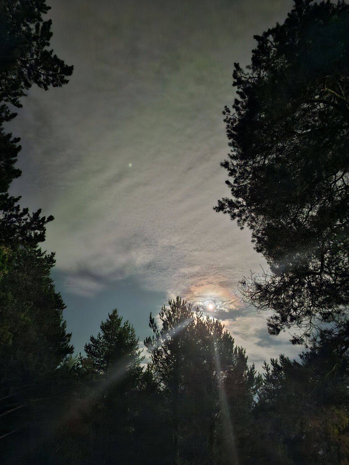 , Александр Сахар