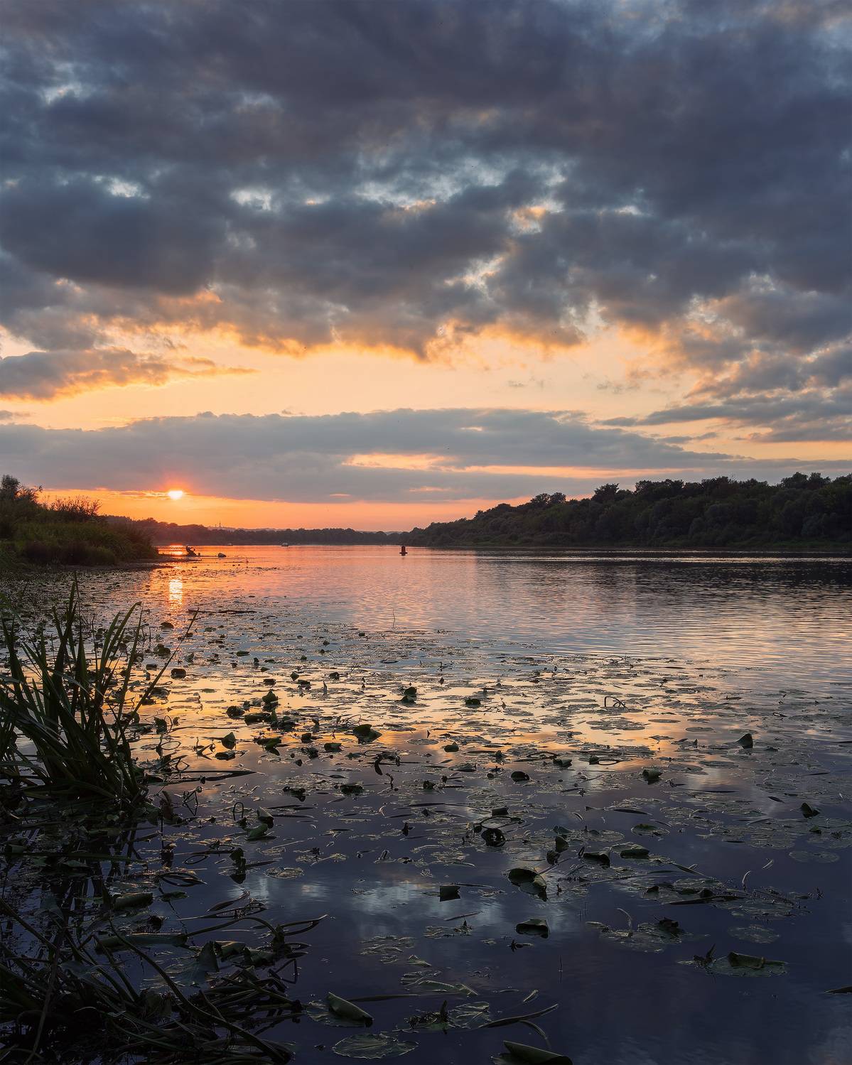 , Загруев Михаил