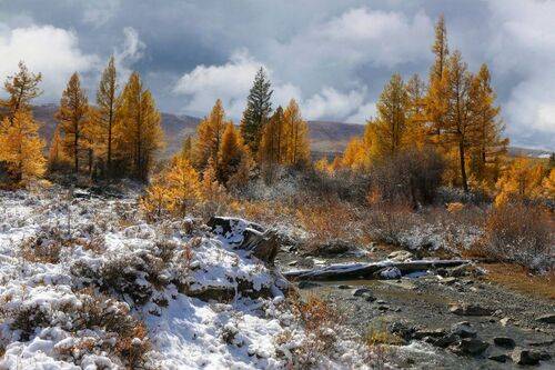 Слегка припорошило