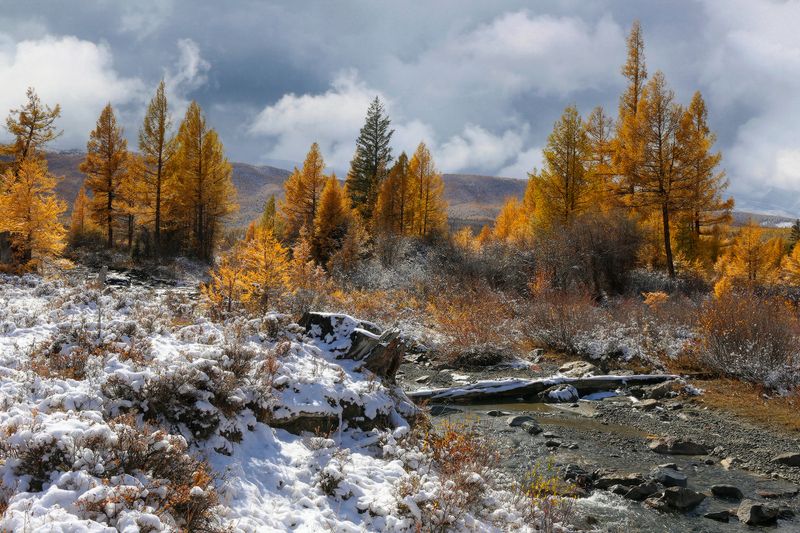 Слегка припорошило фото превью