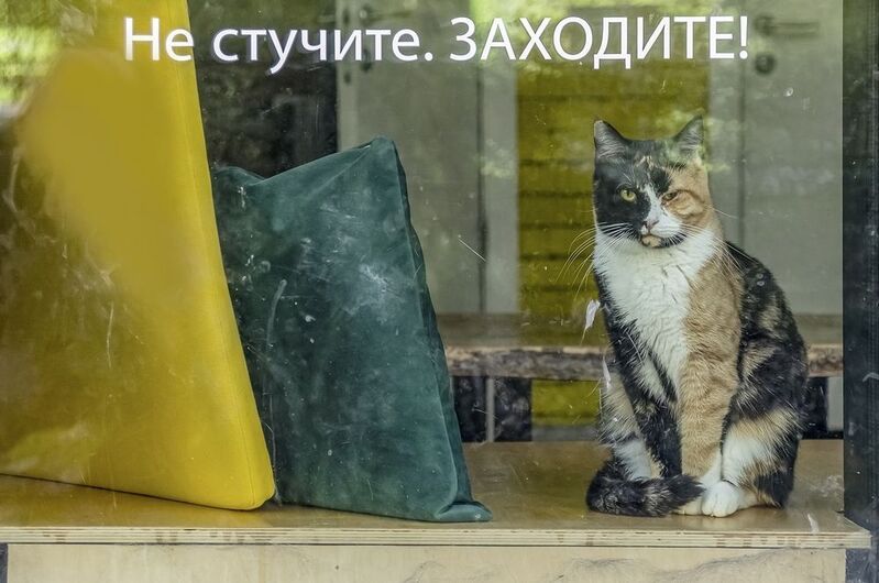 Всё под контролем фото превью