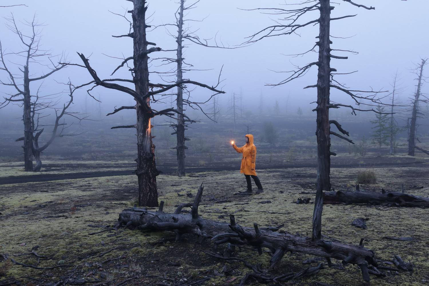 Камчатка, Добролюбова Тамара