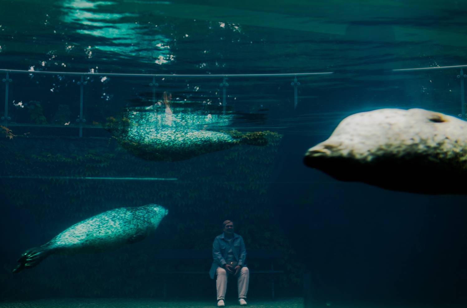 , Krzysztof Trojanowski