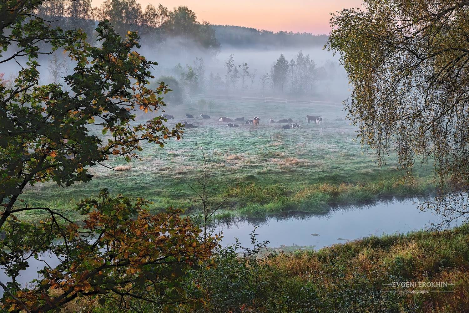 , Евгений Ерохин