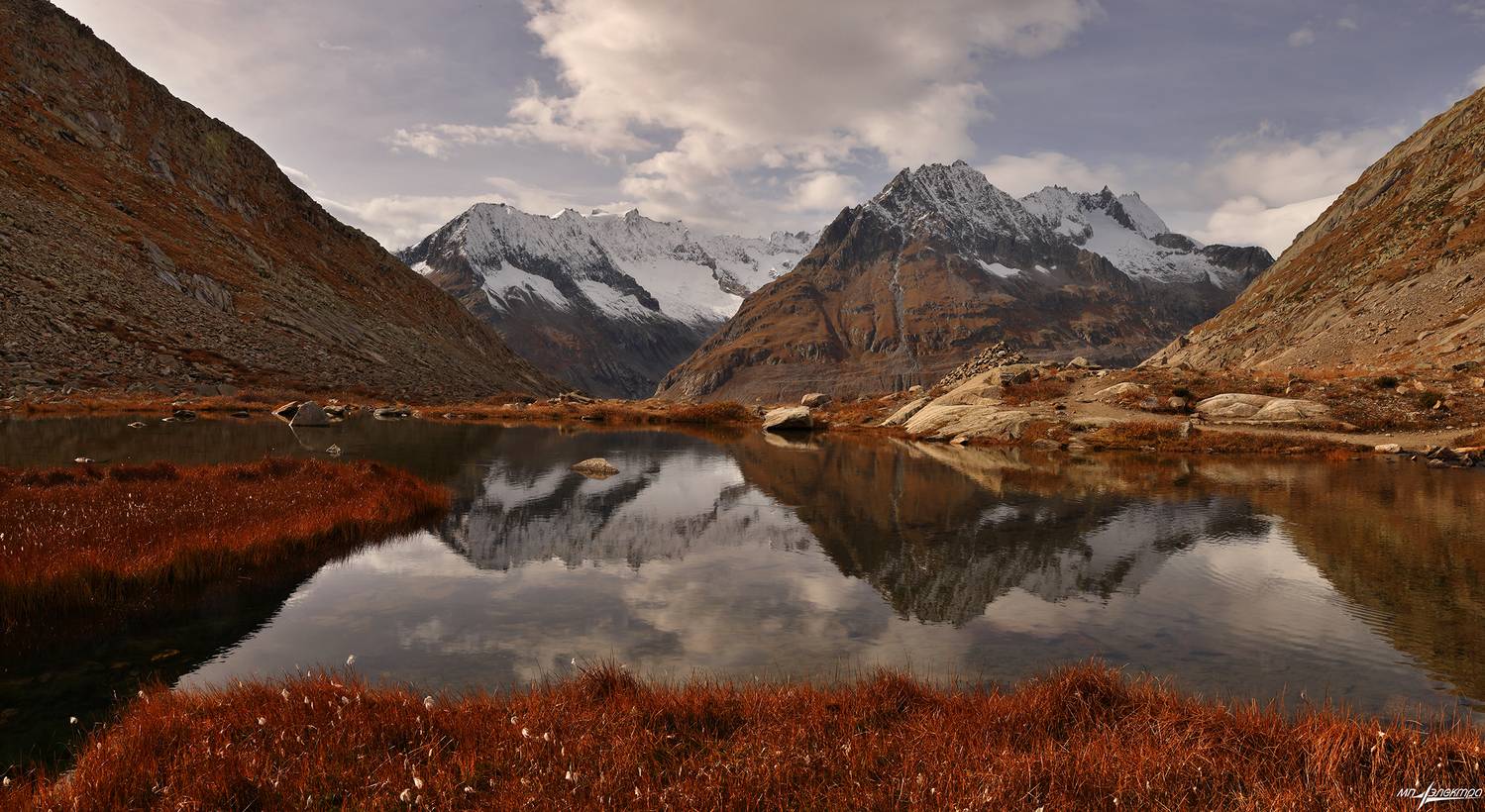 swiss, Матвеев Николай